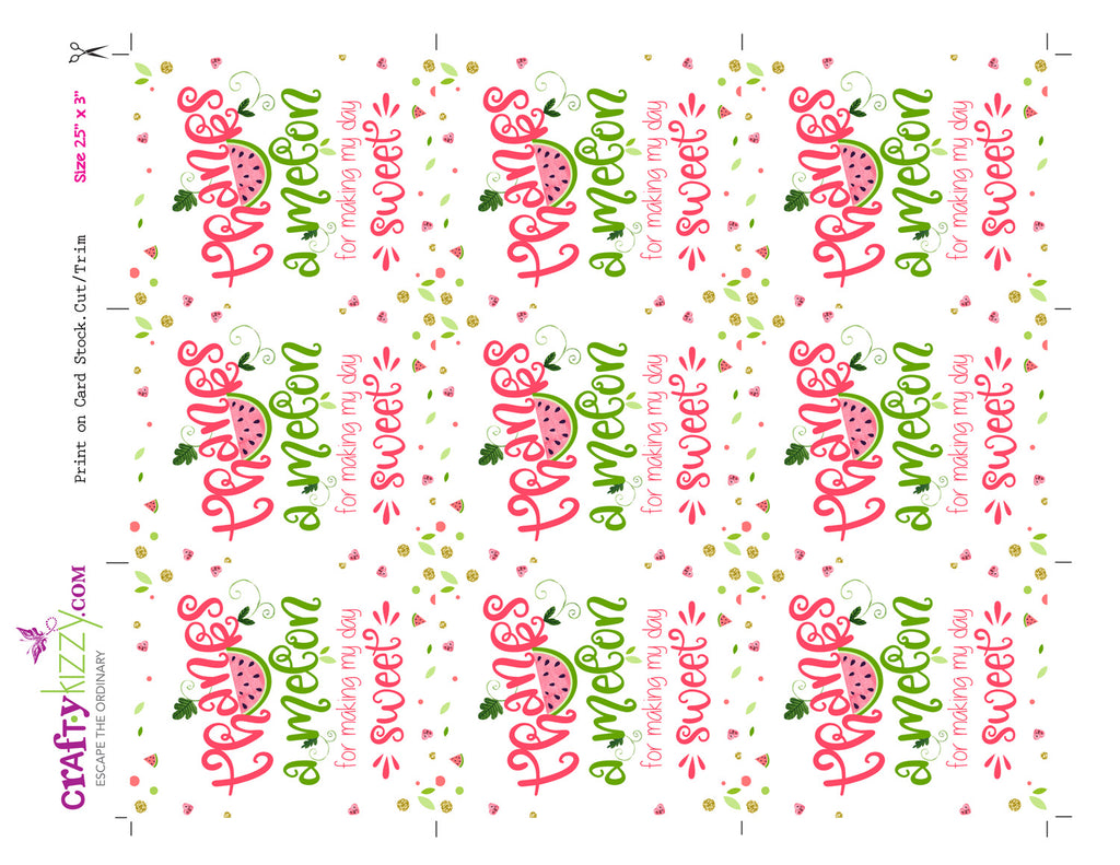 Watermelon Thank You Tag – Hello Baby Paperie