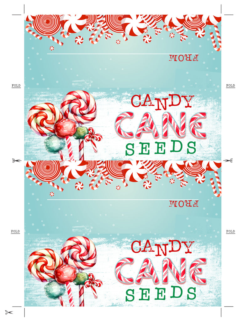 Candy Cane Treat Bag Topper, Christmas Loot Bag Topper, Candy Cane See ...
