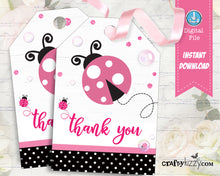 Ladybug Blank Birthday Invitations - Pink Ladybug Fill In The Blank Printable Birthday Invitation - Second Birthday