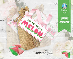 Watermelon First Birthday Invitation - Girls One in a Melon Pink - Printable Summer Party Invitations