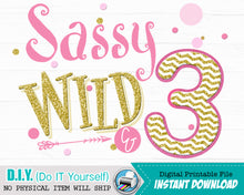 Sassy Wild and Three Iron On - Wild 3 Birthday Shirt Digital Transfer Decal - INSTANT DOWNLOAD - CraftyKizzy